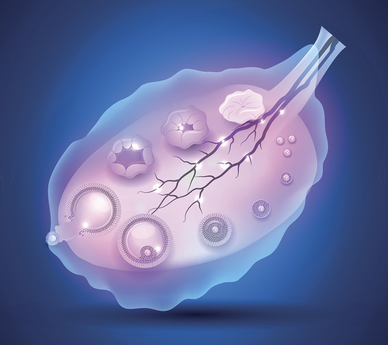 2026年长春试管婴儿医院选择指南：附、费用解析及五大生殖中心对比